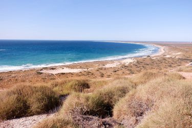 Visiting the Ningaloo Reef : Everything You Need to Know - Claire's ...
