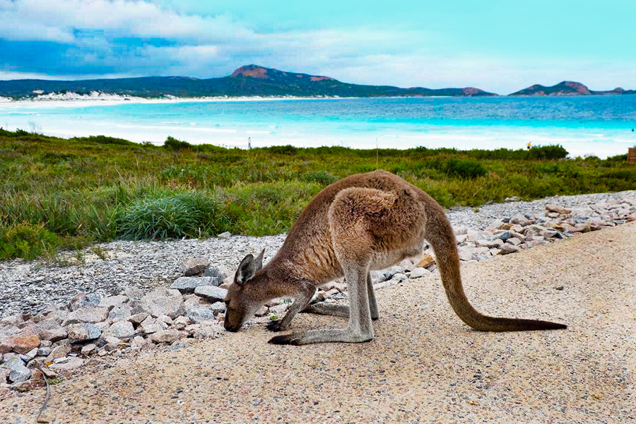australia tourist hot spots