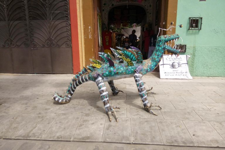 Everything You Need to Know About Living in Oaxaca, Mexico Claire's