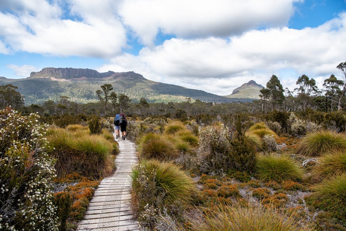 Nature Lovers' Best Things to do in Tasmania Claire's Footsteps