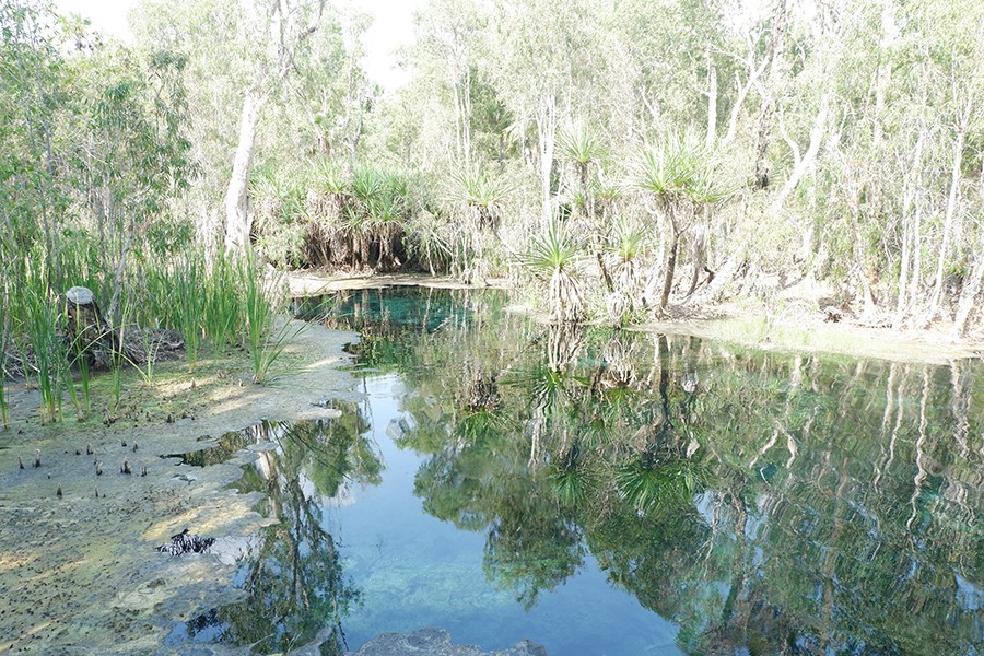 The beautiful Mataranka Springs just south of Katherine. The water glitters blue and there are trees on either side. 
