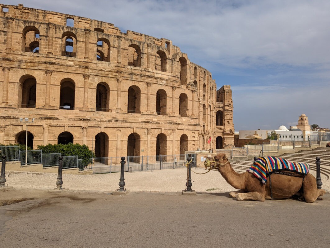 El Jem in Tunisia, an ancient Roman ampitheatre with a camel in front.
