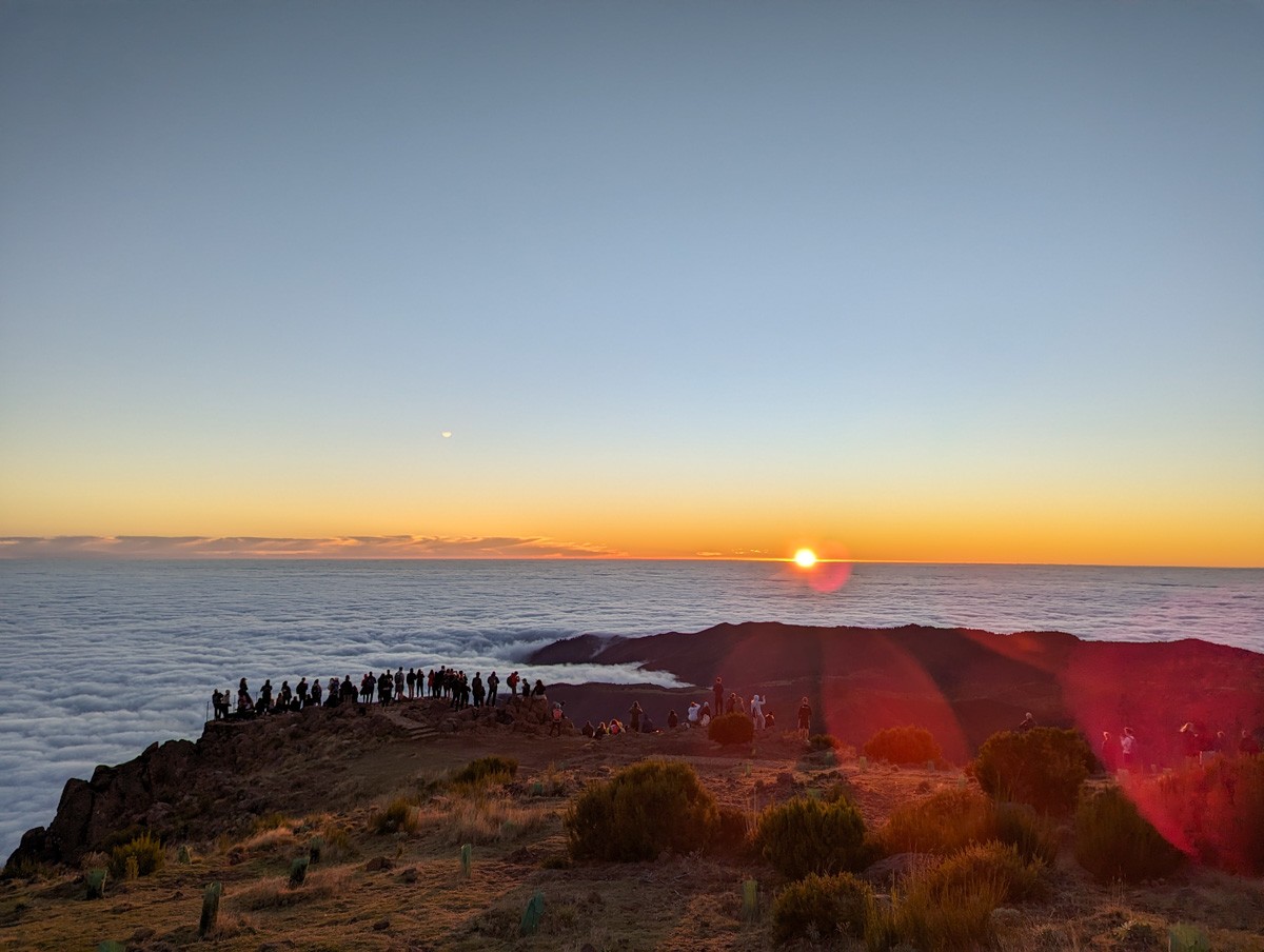 Getting Around Madeira With No Car It S Easy Claire S Footsteps   PXL 20231113 073335996 