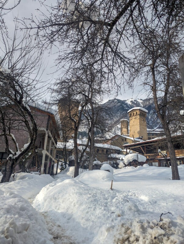 Snow and trees in the foreground with historic towers in the background.