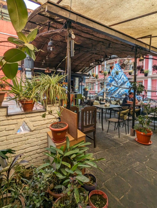 An outdoor café decorated with eclectic furniture, numerous plants, and unique ornaments, under a rustic metal roof with exposed beams.