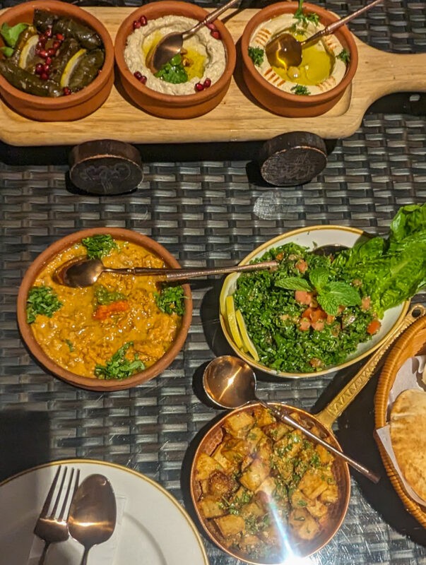 An assortment of Middle Eastern appetizers served in clay dishes on a woven table. The spread includes stuffed grape leaves, baba ghanoush, hummus, a rich tomato-based dip, tabbouleh salad, and crispy pita bread pieces. A plate with a fork and spoon is set to the side.