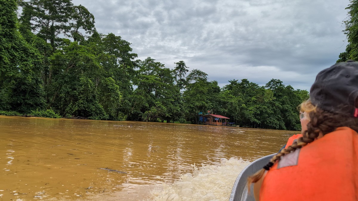 View from a boat on a muddy river surrounded by dense forest, with a person in an orange life vest in the foreground.