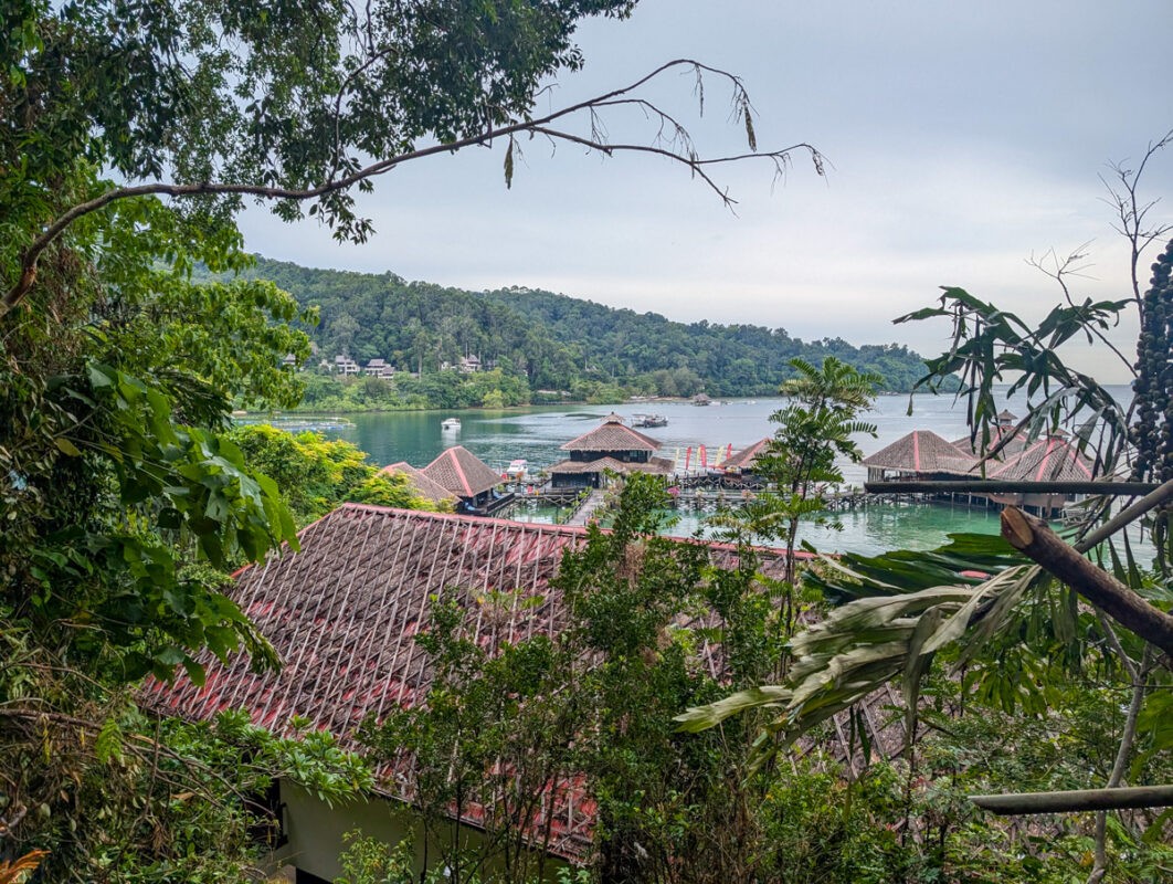 View of overwater bungalows and a forested hillside from a higher vantage point, framed by tree branches.