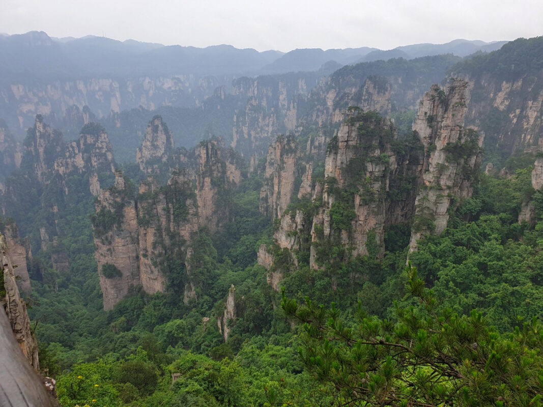 A breathtaking view of towering sandstone pillars covered in dense green vegetation, set against a backdrop of misty mountains, creating a dramatic landscape scene.