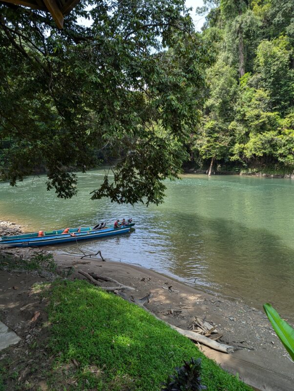 A view of a green river winding through dense tropical foliage. A small wooden boat is docked along the riverbank, and the scene is partially obscured by overhanging tree branches.